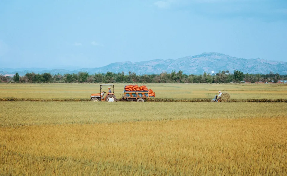 Kho gạo của Nguyễn Văn Kiên